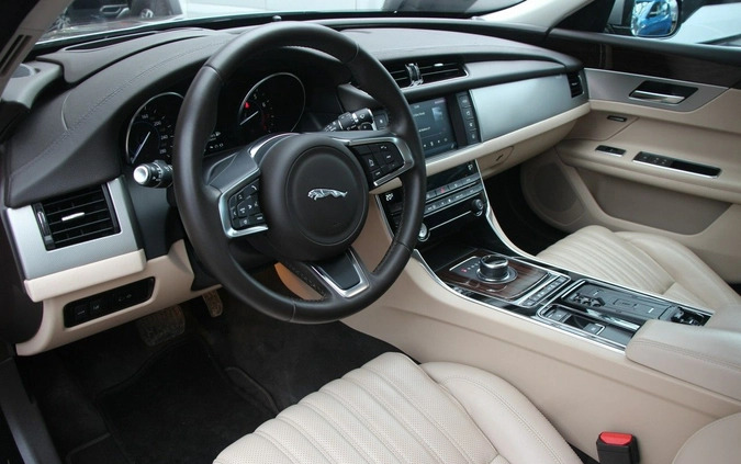 Jaguar XF cena 125990 przebieg: 23000, rok produkcji 2018 z Łasin małe 781